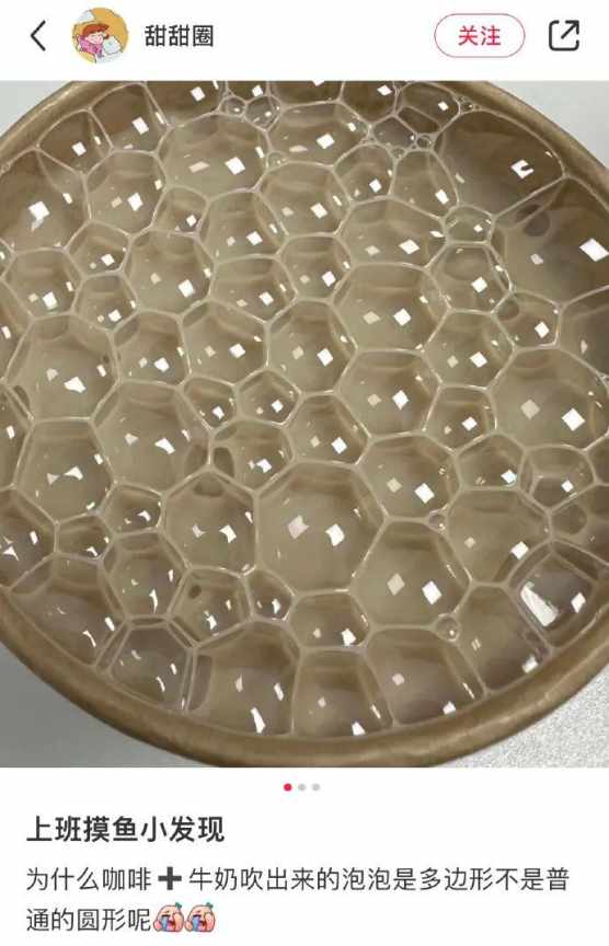 多摸鱼多思考，探索世界的奥妙哈哈哈