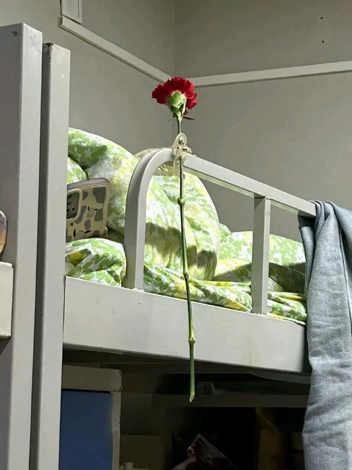 普通人的可爱生活