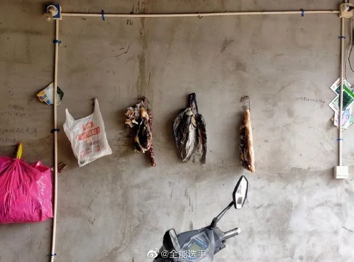 爷爷的课本是一面墙