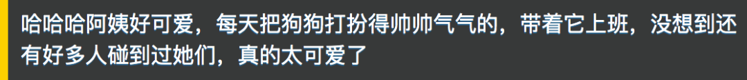 狗狗有一种超出常人的自信 哈喽～！酷狗！
